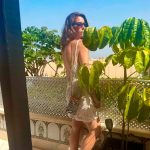 Pocket Zebra 2 Modelo Zebra 3