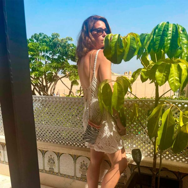 Modelo-Zebra-3 Modelo Zebra 3