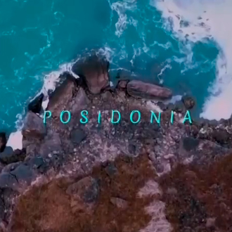 Posidonia Banner